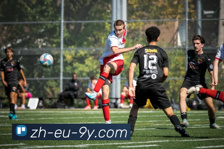 九游官网APP 封面图